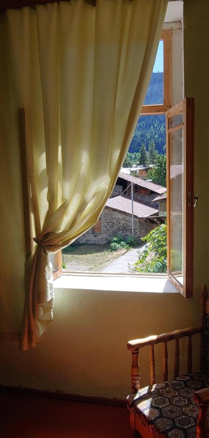 Ailama Guesthouse Mestia Zewnętrze zdjęcie