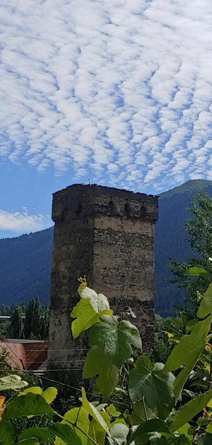 Ailama Guesthouse Mestia Zewnętrze zdjęcie