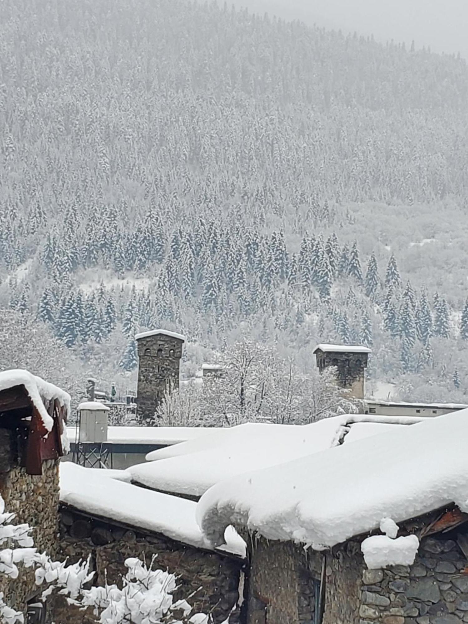 Ailama Guesthouse Mestia Zewnętrze zdjęcie