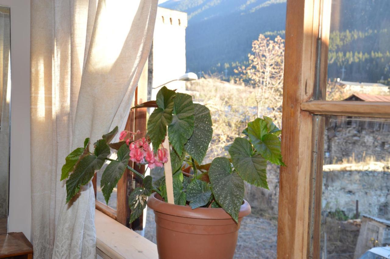 Ailama Guesthouse Mestia Zewnętrze zdjęcie